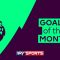 Premier League Goals of the Month