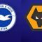 Brighton & Hove Albion vs Wolverhampton Wanderers