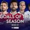 2020-21 Goals of the Season