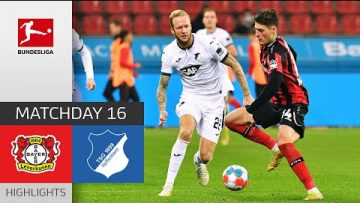 Bayer 04 Leverkusen – TSG Hoffenheim 2-2 | Highlights | Matchday 16 – Bundesliga 2021/22