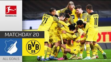 Malen on Fire, Haaland Scores Again | TSG Hoffenheim – Borussia Dortmund 2-3 | All Goals | MD 20
