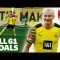 61 Goals in Only 65 Games | Erling Haaland – All Bundesliga Goals