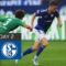 FC Schalke 04 – Borussia Mgladbach 2-2 | Highlights | Matchday 2 – Bundesliga 2022/23