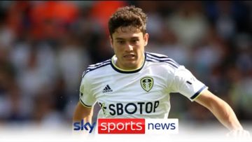 Fulham sign Dan James on loan from Leeds