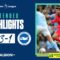 Extended PL Highlights: Man City 3 Albion 1
