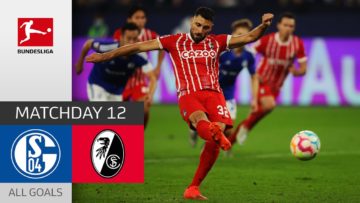 Grifo Scores Twice! | FC Schalke 04 – SC Freiburg 0-2 | All Goals | Matchday 12 – Bundesliga 2022/23
