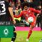 Gnabry-Hattrick! FCB Extremely Strong! | Bayern – Werder Bremen 6-1 | All Goals | MD 14 – Buli 22/23