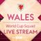 LIVE! WALES WORLD CUP SQUAD REVEAL! 🏆 | Rob Page reacts to his provisional 26-man squad