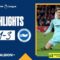 PL Highlights: Southampton 1 Albion 3