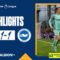 PL Highlights: Crystal Palace 1 Albion 1