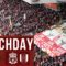 Matchday Live: Liverpool vs Fulham | Premier League build-up from Anfield