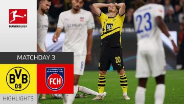 Wild draw: BVB gives up the lead | Borussia Dortmund – 1. FC Heidenheim 2-2 |  MD 3 -BL 23/24