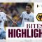 BITESIZE HIGHLIGHTS | Wolverhampton Wanderers 1-1 Aston Villa