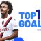 The top 10 goals of October | Top Goals | Serie A 2023/24