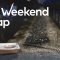 TheWeekendWrap